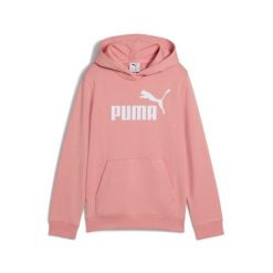 Młodzieżowa bluza z kapturem ESS z logo No. 1 PUMA Pink Fruit. Czerwona bluzy damskie Puma, m, bez wzorów, młodzieżowe, bez ramiączek, z kapturem. Za 190.00 zł.