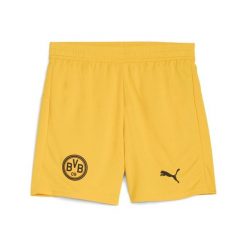 Młodzieżowe szorty Borussia Dortmund 25/26 PUMA. Brązowa szorty damskie Puma, bez wzorów, młodzieżowe. Za 179.00 zł.