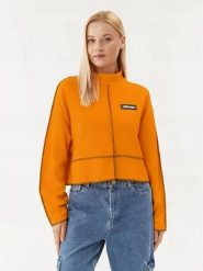 BLUZA DAMSKA ELLESSE BOXY OVERSIZE ZE STÓJKĄ POMARAŃCZOWA KOLOR POMARAŃCZOWY. Brązowe bluzy damskie Ellesse, l, bez wzorów, z bawełny, sportowe, bez ramiączek, bez kaptura. Za 139.00 zł.