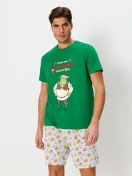 Piżama dwuczęściowa Shrek - zielony. Zielone piżamy męskie Sinsay, l, bez wzorów, z gumy, bez kołnierzyka, bez ramiączek, krótkie. Za 49.99 zł.