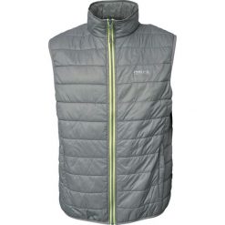 Kurtka puchowa Pro-X Elements Hasn. Szare kurtki męskie PRO-X ELEMENTS, m, bez wzorów, z puchu, sportowe, bez kaptura. Za 349.50 zł.