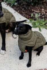 Płaszcz dla psa Kentucky Pina. Niebieskie płaszcze damskie KENTUCKY HORSEWEAR, na jesień, l, bez wzorów, z gumy, bez kołnierzyka, bez kaptura. Za 578.50 zł.