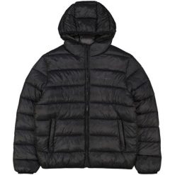 Kurtka Ocieplana Męska 220342. Czarne kurtki męskie Champion, m, bez wzorów, z puchu, sportowe, bez kaptura. Za 490.99 zł.