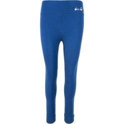 Legginsy damskie DIADORA L.LEGGINGS SPOTLIGHT. Fioletowe legginsy damskie Diadora, bez wzorów, z bawełny. Za 49.99 zł.
