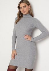 Szara Dopasowana Sukienka z Prążkowanej Dzianiny z Golfem Seralinda. Szare sukienki damskie Born2be, na co dzień, l, bez wzorów, z dzianiny, klasyczne, bez kołnierzyka, bez ramiączek, midi, dopasowane. Za 74.99 zł.