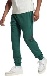 Spodnie męskie adidas Essentials Big Logo French Terry zielone JE8971 XL. Zielone spodnie sportowe męskie Adidas, m, bez wzorów. Za 228.99 zł.