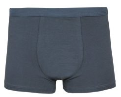 Bokserki Obcisłe, Szare Gładkie, Jednokolorowe, Bawełniane, Majtki z Elastanem -ALTIES. Szare bokserki męskie Alties, bez wzorów, z bawełny. Za 35.00 zł.