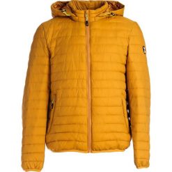 Żółta Kurtka Maggiore. Żółte kurtki męskie Born2be, na jesień, l, bez wzorów, z materiału, bez kaptura. Za 149.99 zł.