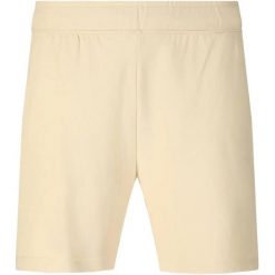 Szorty Virtus Minne. Brązowe szorty męskie VIRTUS, bez wzorów. Za 189.50 zł.