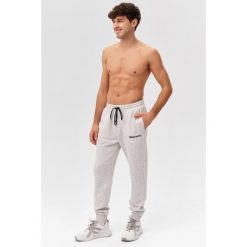 Męskie spodnie dresowe sportowe Rough Radical Cotton Active Joggers. Szare buty sportowe męskie ROUGH RADICAL, m, bez wzorów, z dresówki, na fitness i siłownię. W wyprzedaży za 144.42 zł.
