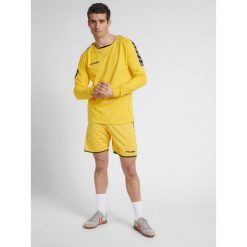 Bluza Hummel hmlAUTHENTIC Training. Brązowe bluzy męskie Hummel, l, bez wzorów, eleganckie, bez ramiączek, bez kaptura. Za 207.10 zł.