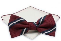 Mucha z poszetką - Chattier, Męska - Klasyczny Wzór. Krawaty i muchy Chattier, bez wzorów, eleganckie. Za 59.00 zł.