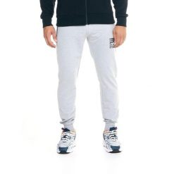 Męskie spodnie dresowe Leone Active. Szare spodnie sportowe męskie LEONE 1947 APPAREL, l, bez wzorów, z dresówki, na fitness i siłownię. W wyprzedaży za 139.75 zł.