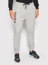 Alpha Industries Spodnie dresowe Basic 116368 Szary Regular Fit. Szare spodnie sportowe męskie Alpha Industries, l, bez wzorów, z bawełny. Za 189.99 zł.