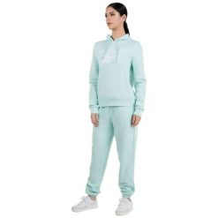 Bluza damska Reebok Identity Big Logo Fleece. Niebieskie bluzy damskie Reebok, xs, bez wzorów, z bawełny, sportowe, bez ramiączek, z kapturem. Za 189.99 zł.