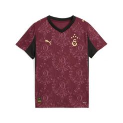 Młodzieżowa trzecia koszulka Galatasaray SK 25/26 PUMA. Brązowa bluzki damskie Puma, m, bez wzorów, młodzieżowe, bez kołnierzyka, bez ramiączek. Za 349.00 zł.