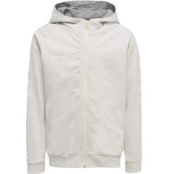 Bluza do piłki ręcznej damska Hummel hmlGO Zip z kapturem. Szare bluzy damskie Hummel, na jesień, xs, bez wzorów, sportowe, bez ramiączek, z kapturem. W wyprzedaży za 190.50 zł.