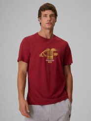 4F T-shirt regular z nadrukiem męski - czerwony 3XL. Czerwone koszulki sportowe męskie 4F, m, bez wzorów, z bawełny, bez kołnierzyka, bez ramiączek. Za 69.99 zł.