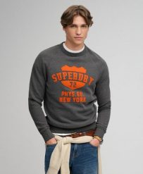 Superdry Bluza Athletic Felt Applique z dekoltem — luźny varsity look – Light. Szare bluzy damskie Superdry, m, z aplikacjami, z bawełny, sportowe, bez ramiączek, bez kaptura. Za 345.10 zł.