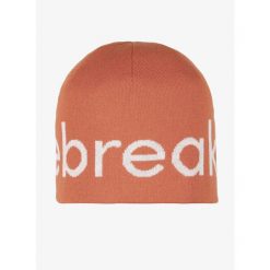 Czapka Icebreaker Merino Icebreaker Beanie - cedar wood/ecru hthr. Brązowe czapki damskie Icebreaker, bez wzorów. Za 130.99 zł.