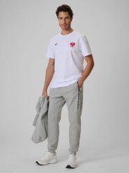 4F Spodnie kibica joggery męskie - szare S. Szare spodnie materiałowe męskie 4F, bez wzorów, z bawełny. Za 189.99 zł.