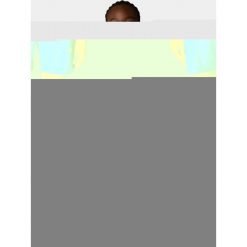 Płaszcz Przeciwdeszczowy Damski The North Face W Quest. Białe płaszcze damskie The North Face, xl, bez wzorów, sportowe, bez kołnierzyka, bez kaptura. W wyprzedaży za 485.10 zł.