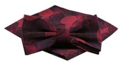 Mucha Męska z Poszetką Alties - Ciemna Czerwień. Czerwone krawaty i muchy Alties, bez wzorów, eleganckie. Za 54.00 zł.