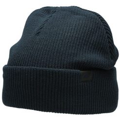 Czapka męska 4F. Niebieskie czapki męskie 4F, na zimę, z aplikacjami, z dzianiny. Za 41.99 zł.