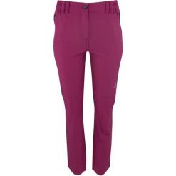 Spodnie damskie Athl. DPT. Manola Prugna rozmiar 46. Spodnie sportowe damskie YOA, na lato, bez wzorów, z materiału, sportowe, trekkingowe. Za 261.99 zł.