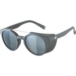 Okulary przeciwsłoneczne Alpina Glace P. Czarne okulary przeciwsłoneczne damskie Alpina. Za 299.00 zł.