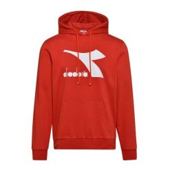 Bluza męska DIADORA HOODIE BIG LOGO. Szare bluzy męskie Diadora, m, bez wzorów, bez kaptura. Za 99.99 zł.