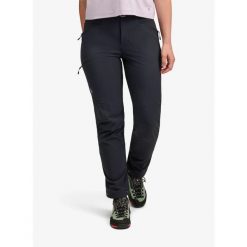 Spodnie turystyczne damskie Black Diamond Alpine Pants. Czarne spodnie sportowe damskie Black Diamond, na lato, bez wzorów, sportowe, trekkingowe. Za 599.49 zł.