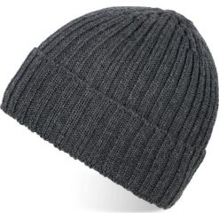 Czapka zimowa męska szara PAOLO PERUZZI A-06-GR. Szare czapki męskie Paolo Peruzzi, na zimę, bez wzorów, z materiału. Za 59.99 zł.