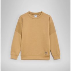 Bluza damska DIADORA L. SWEATSHIRT CREW URBANITY. Brązowe bluzy damskie Diadora, l, bez wzorów, bez ramiączek, bez kaptura. Za 139.99 zł.