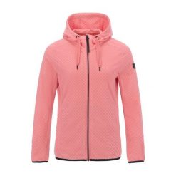 Damska Bluza Polarowa Ellula Z Pełnym Zamkiem Błyskawicznym. Czerwone bluzy damskie Regatta, na zimę, bez wzorów, z polaru, sportowe, bez ramiączek, bez kaptura. Za 198.99 zł.