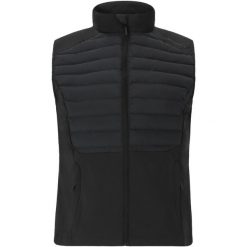 Damska kurtka bez rękawów Endurance Beistyla Primaloft. Czarne kurtki sportowe damskie Endurance, m, z aplikacjami, z materiału, bez ramiączek, bez kaptura, do biegania, primaloft. Za 258.00 zł.