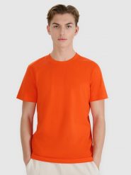4F T-shirt regular z nadrukiem męski - pomarańczowy XXL. Brązowe t-shirty męskie 4F, m, bez wzorów, z bawełny, bez kołnierzyka, bez ramiączek. W wyprzedaży za 39.99 zł.