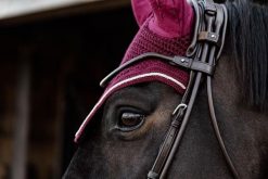 Czapka dla konia Kentucky Wellington Velvet. Zielone czapki damskie KENTUCKY HORSEWEAR, bez wzorów, z dzianiny, biznesowe. Za 379.00 zł.