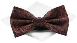 Mucha Męska z Białą Poszetką - Chattier - Miedziana z Wzorem Paisley. Białe krawaty i muchy Chattier, bez wzorów, z poliesteru, eleganckie. Za 59.00 zł.